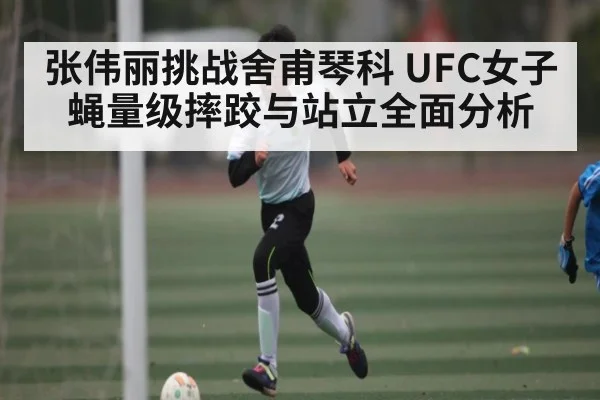 张伟丽挑战舍甫琴科 UFC女子蝇量级摔跤与站立全面分析
